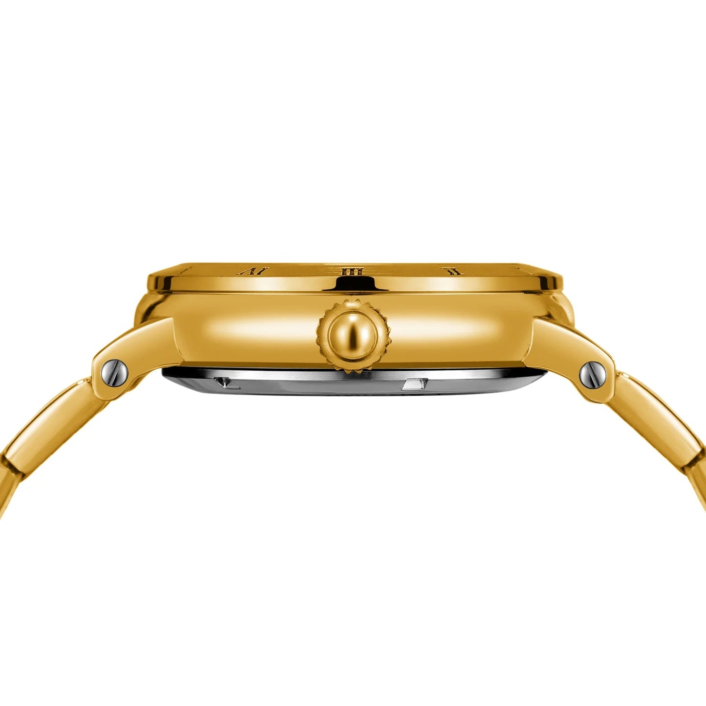 Reloj Automático Esqueleto Leviton